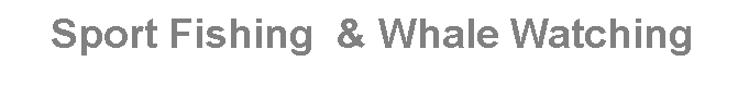 Text Box: Sport Fishing  & Whale Watching